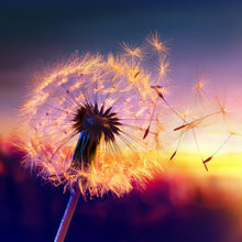 Load image into Gallery viewer, 1000 WISHES - Snap Bar Clam