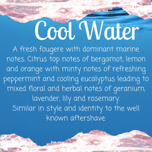 Load image into Gallery viewer, COOL WATER - Mini Snap Bar