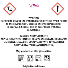 Load image into Gallery viewer, THE MALE - Scent Stick