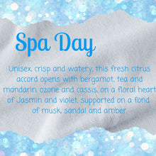 Load image into Gallery viewer, SPA DAY MINI MELTS