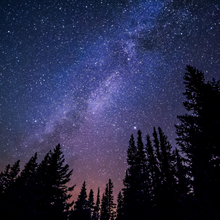 Load image into Gallery viewer, STARRY NIGHT - Wax Shot