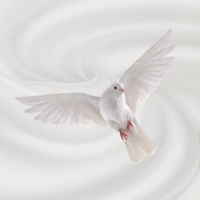 Load image into Gallery viewer, WHITE DOVE - Scent Stick