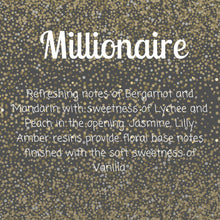 Load image into Gallery viewer, MILLIONAIRE SHELLS