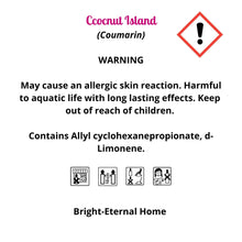 Load image into Gallery viewer, COCONUT ISLAND - Mini Melts
