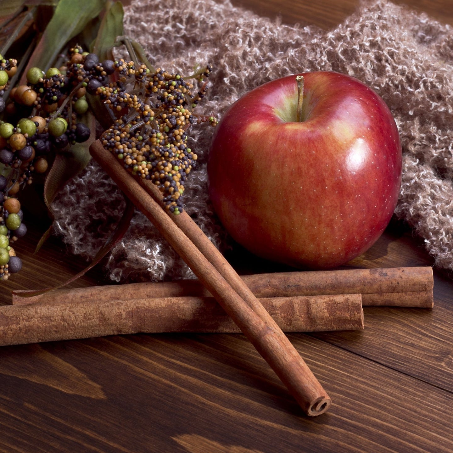 CINNAMON & APPLE CHRISTMAS SHAPES