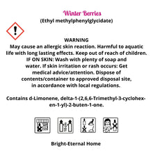 Load image into Gallery viewer, WINTER BERRIES SCENT STICK
