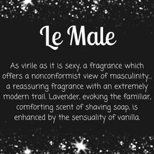 Load image into Gallery viewer, THE MALE - Mini Block
