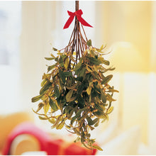 Load image into Gallery viewer, MISTLETOE KISSES CHRISTMAS SHAPES
