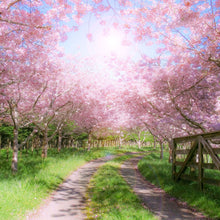 Load image into Gallery viewer, SPRINGTIME (Zoflora) SCENT STICK
