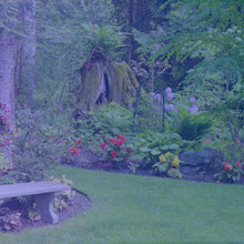Load image into Gallery viewer, TWILIGHT GARDEN (Zoflora) SCENT STICK

