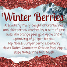 Load image into Gallery viewer, WINTER BERRIES SCENT STICK
